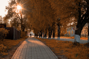 Image-preview_300x200