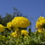 Image-square_50