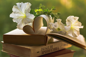 Image-preview_300x200