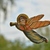 Image-square_50