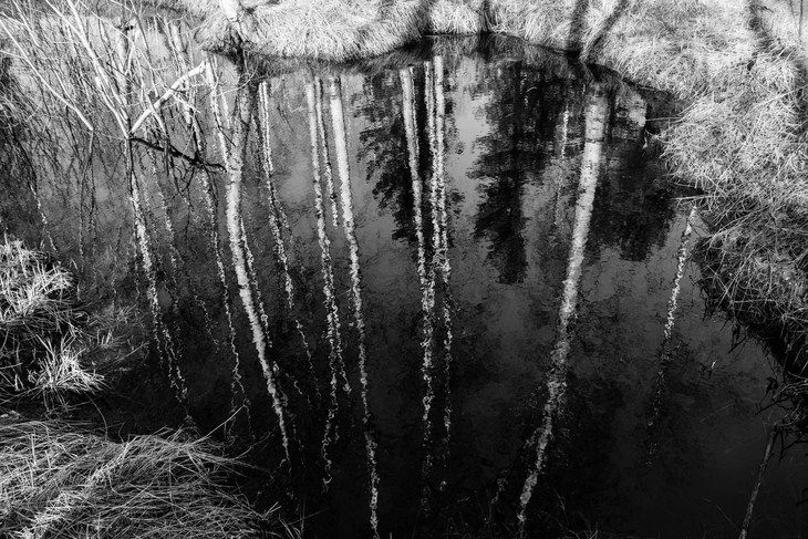Image-normal