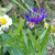 Image-square_50