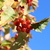 Image-square_50