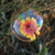 Image-square_50