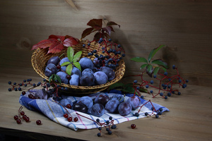 Image-preview_300x200