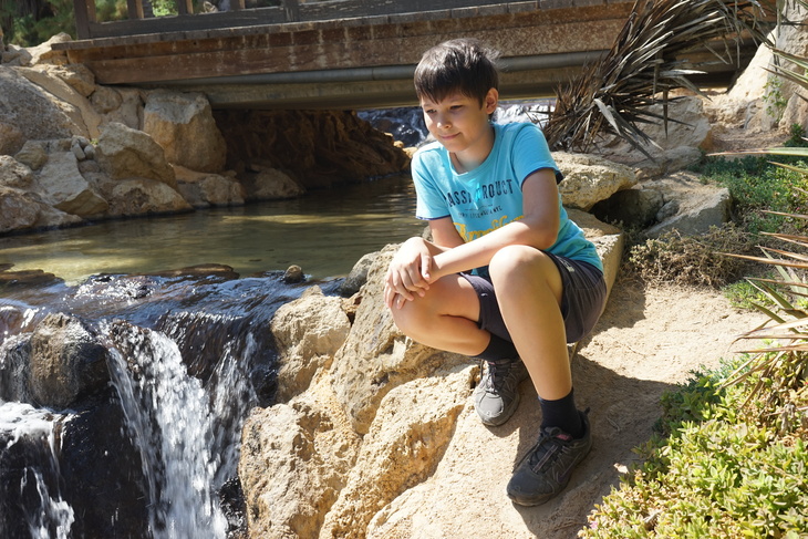 Image-normal