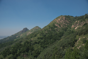 Image-preview_300x200