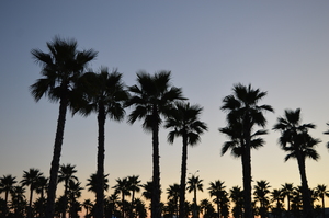 Image-preview_300x200