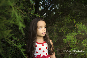 Image-preview_300x200