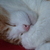Image-square_50