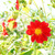 Image-square_50