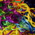 Image-square_50