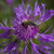 Image-square_50