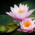 Image-square_50