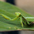 Image-square_50