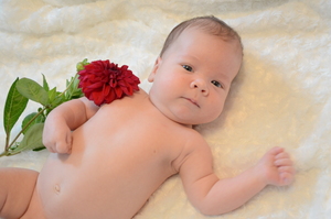 Image-preview_300x200