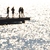 Image-square_50