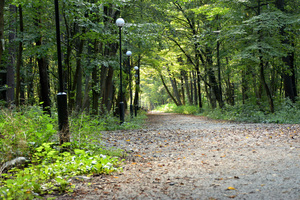 Image-preview_300x200