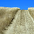 Image-square_50