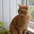 Image-square_50