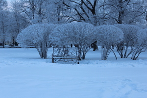 Image-preview_300x200