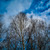 Image-square_50