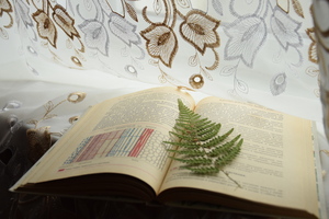 Image-preview_300x200