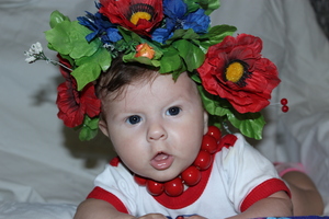 Image-preview_300x200