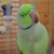 Image-square_50