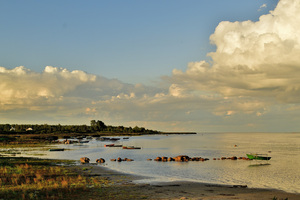 Image-preview_300x200