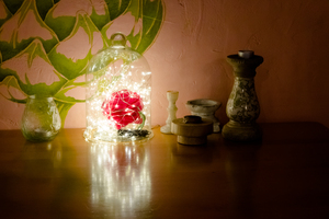Image-preview_300x200