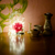 Image-square_50