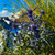 Image-square_50