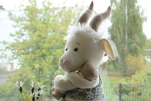 Image-preview_300x200