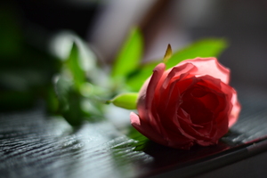Image-preview_300x200