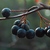 Image-square_50