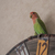 Image-square_50