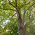 Image-square_50