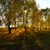 Image-square_50