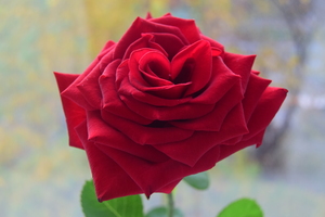 Image-preview_300x200