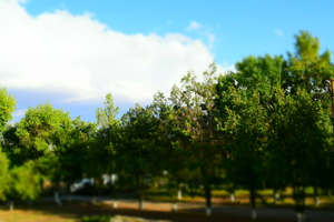 Image-preview_300x200