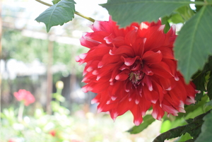 Image-preview_300x200