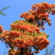 Image-square_50