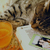 Image-square_50