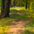 Image-square_50