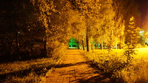 Image-preview_300x200