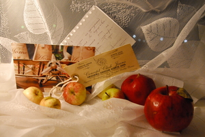 Image-preview_300x200