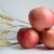 Image-square_50