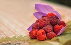 Image-preview_300x200