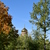 Image-square_50